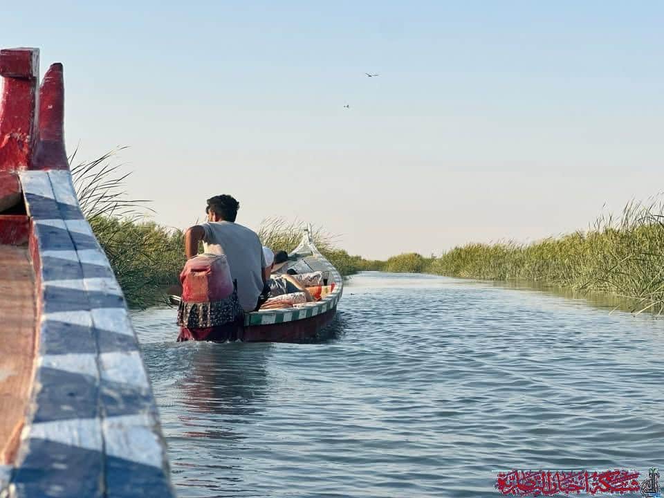 صورة من مقال: بالصور: وفود أجنبية تتوافد لاكتشاف كنوز أهوار ذي قار رغم الجفاف